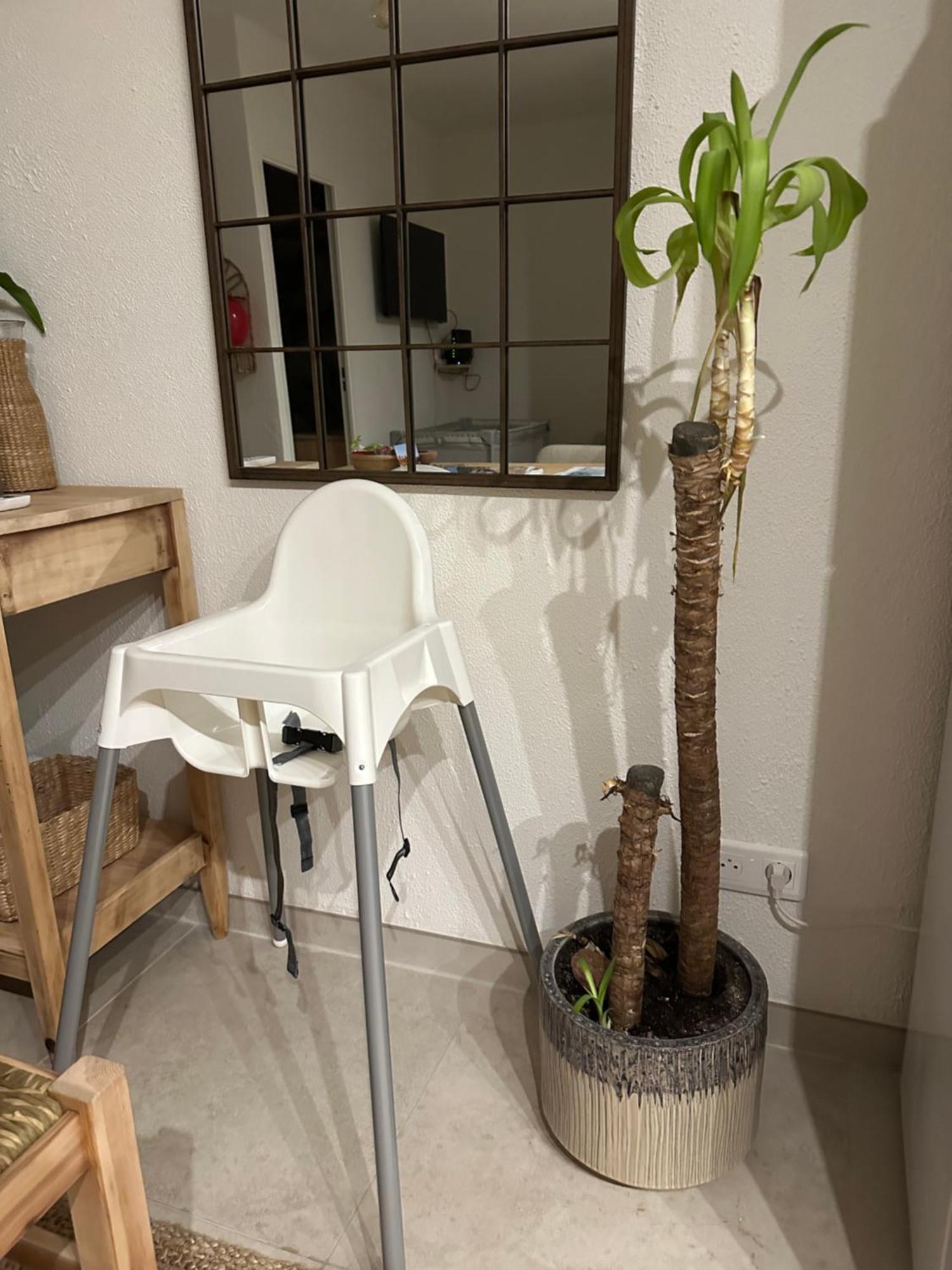 Appartement Sea Shell Cavalaire-sur-Mer Eksteriør billede